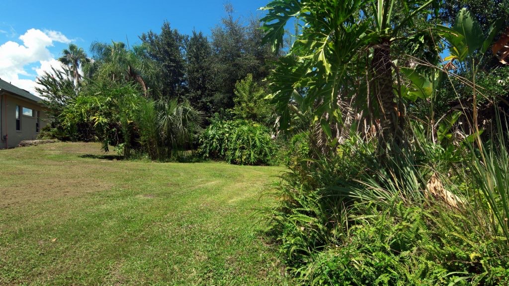 Tropical planting and palms at the garden edge