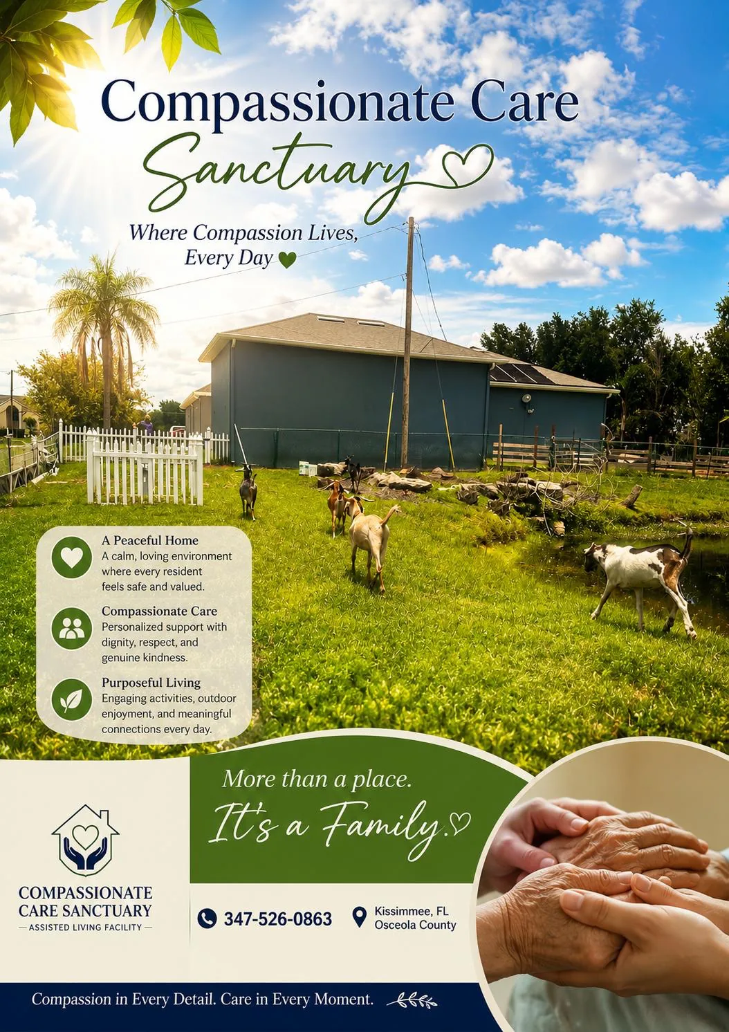 Client-supplied promotional graphic describing compassionate care and displaying 347-526-0863